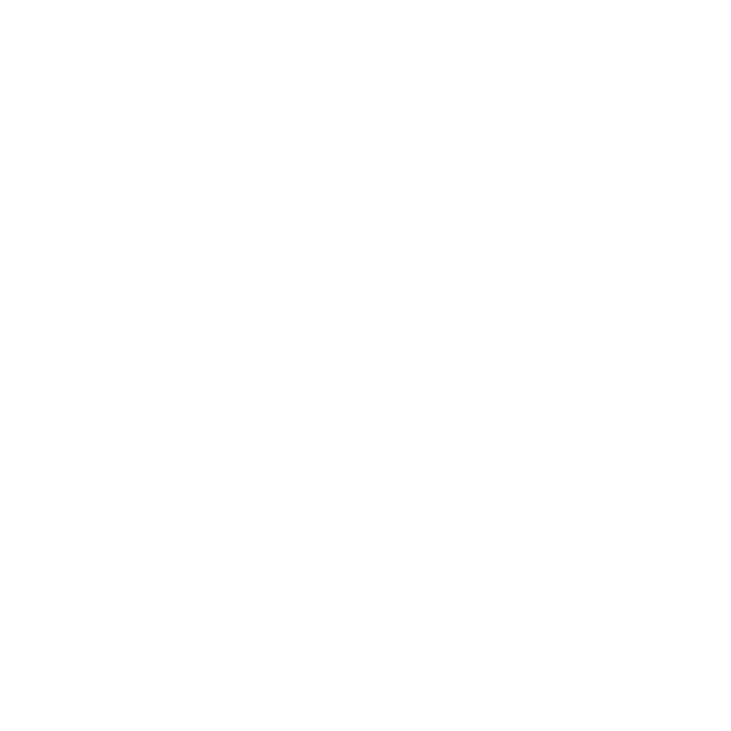 Skrill payment icon